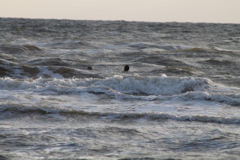 Schliessen von IMG_2232.jpg